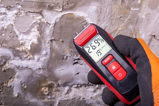 Best Certified Mold Removal  in Hesperia, CA