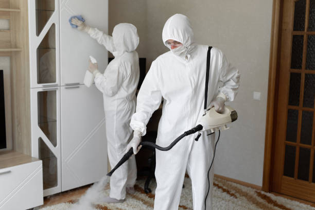 Best Mold Damage Repair  in Hesperia, CA