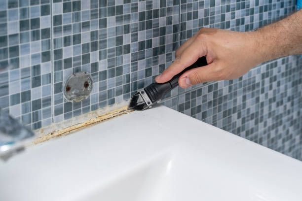 Office Mold Removal Services in Hesperia, CA