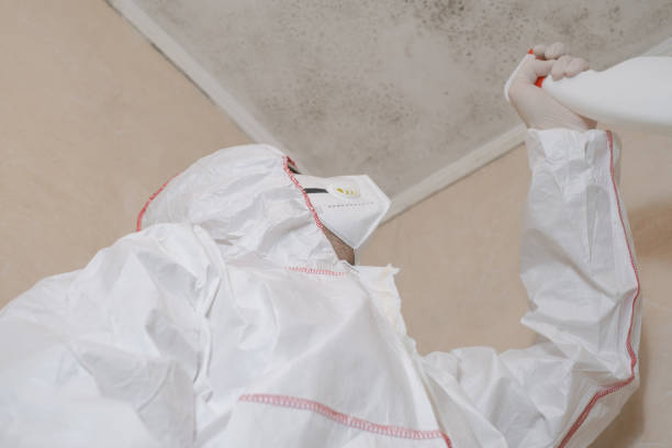 Best Mold Cleaning Services  in Hesperia, CA