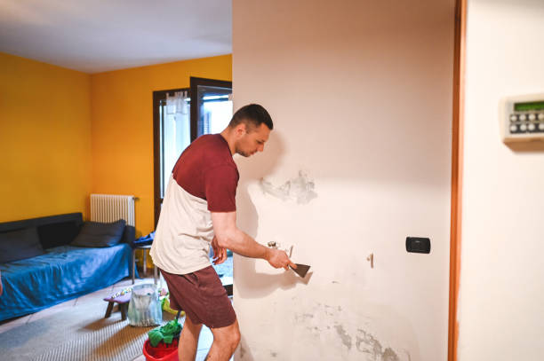 Best Commercial Mold Removal  in Hesperia, CA