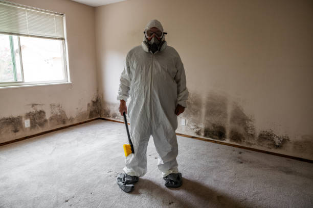 Best Commercial Mold Removal  in Hesperia, CA